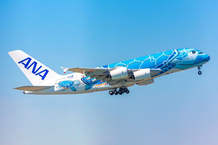 ANA's “Flying Honu” (A380) Scenic Flight Continue to Attract : Infini
